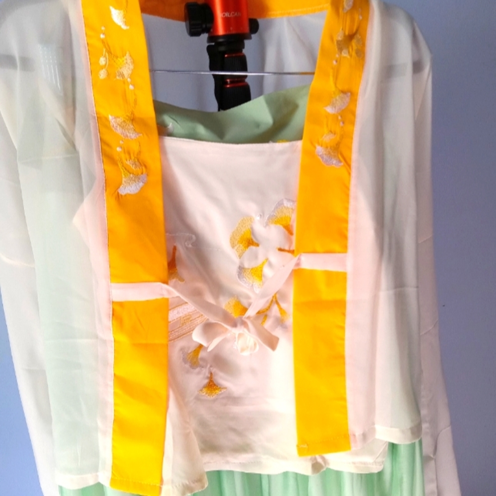 Beautiful Traditional Japanese Costume/ Outfit. Halloween? Party?